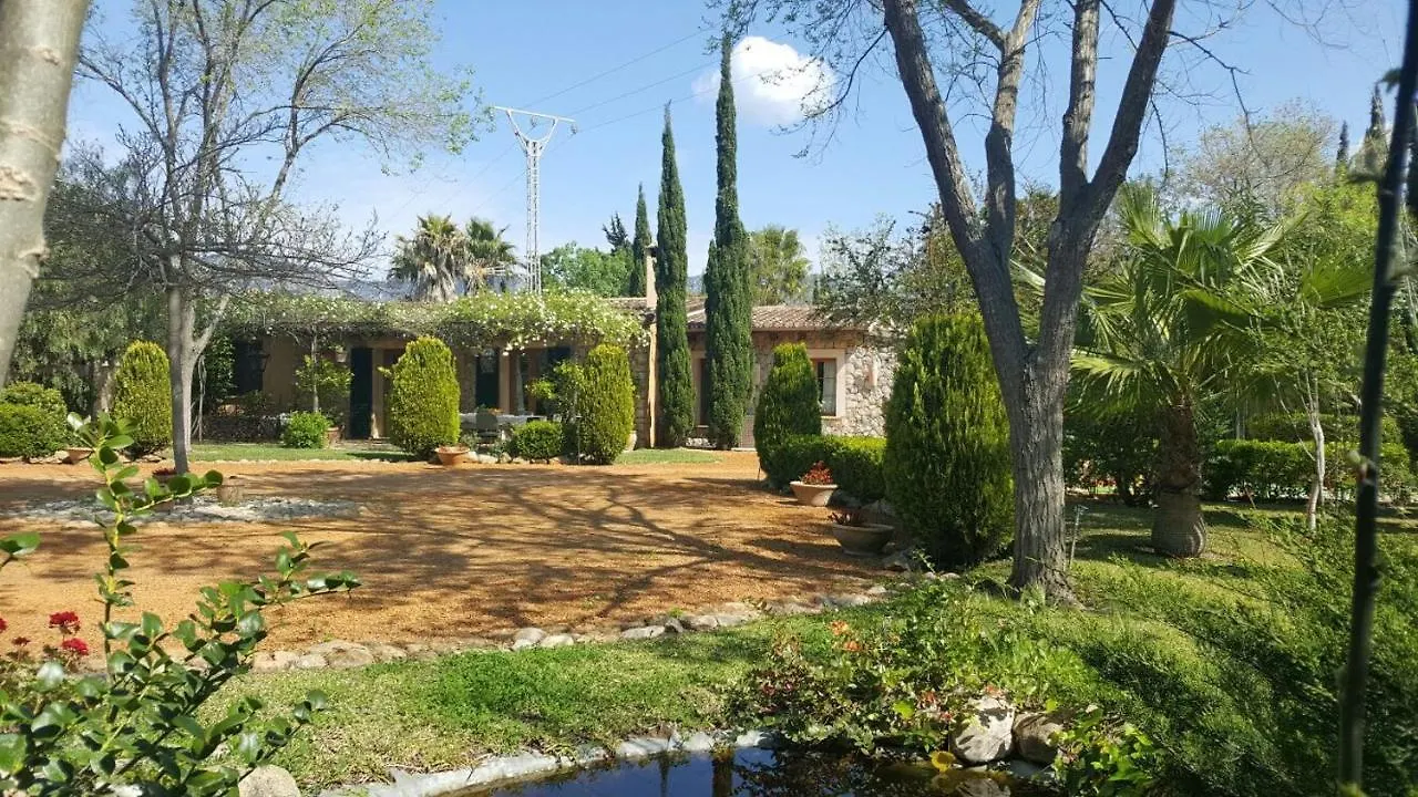 Heaven Can Wait Palma de Mallorca Villa
