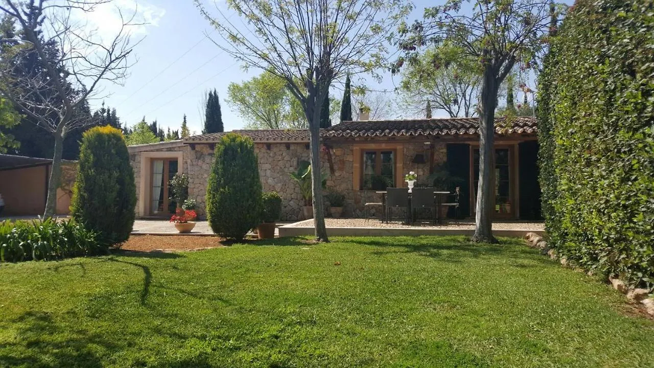 Heaven Can Wait Palma de Mallorca Villa